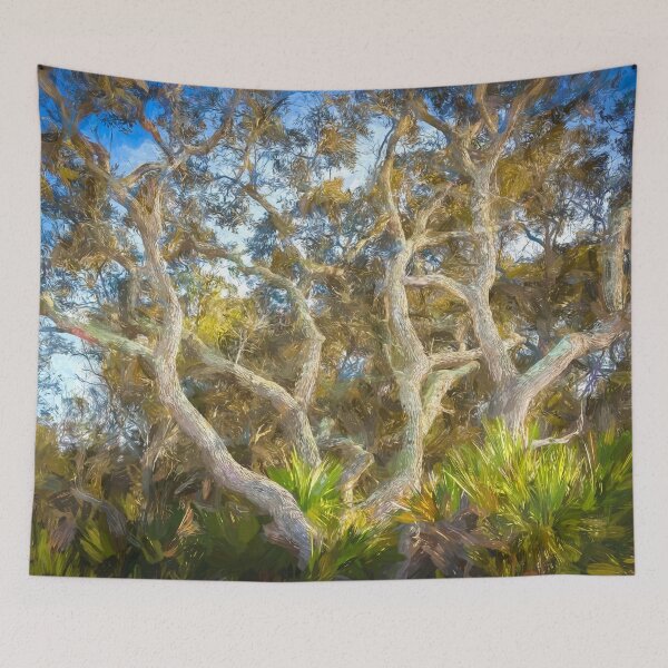 Item preview, Florida Scrub Oaks BW X101   designed and sold by RichFrancoCars.