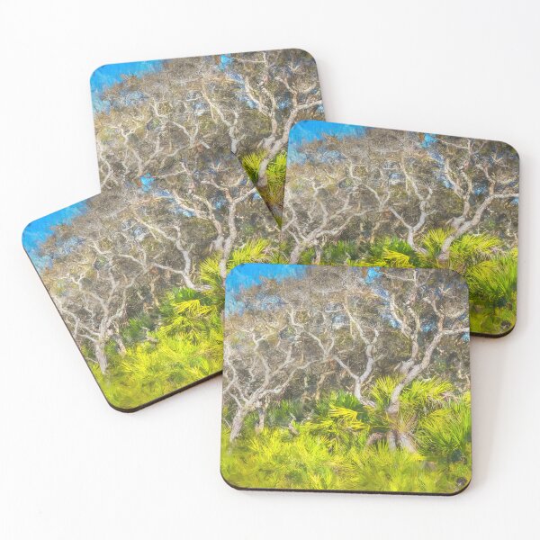 Item preview, Florida Scrub Oaks BW X102   designed and sold by RichFrancoCars.