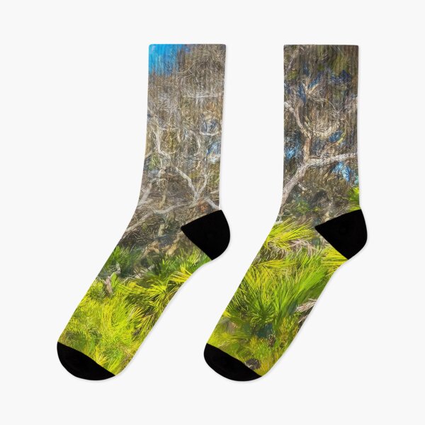 Item preview, Florida Scrub Oaks BW X102   designed and sold by RichFrancoCars.
