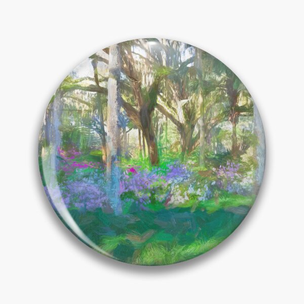 Item preview, Washington Oaks State Park X103   designed and sold by RichFrancoCars.