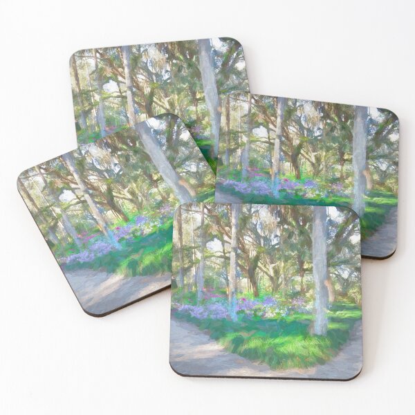 Item preview, Washington Oaks State Park X103   designed and sold by RichFrancoCars.