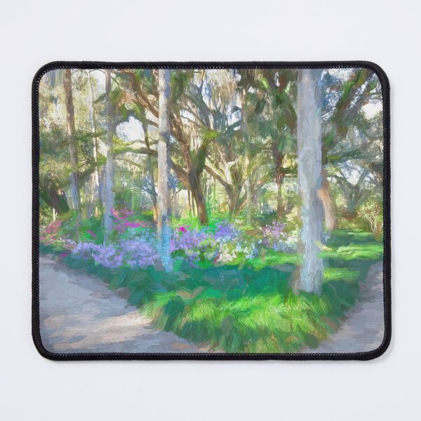 Item preview, Washington Oaks State Park X103   designed and sold by RichFrancoCars.