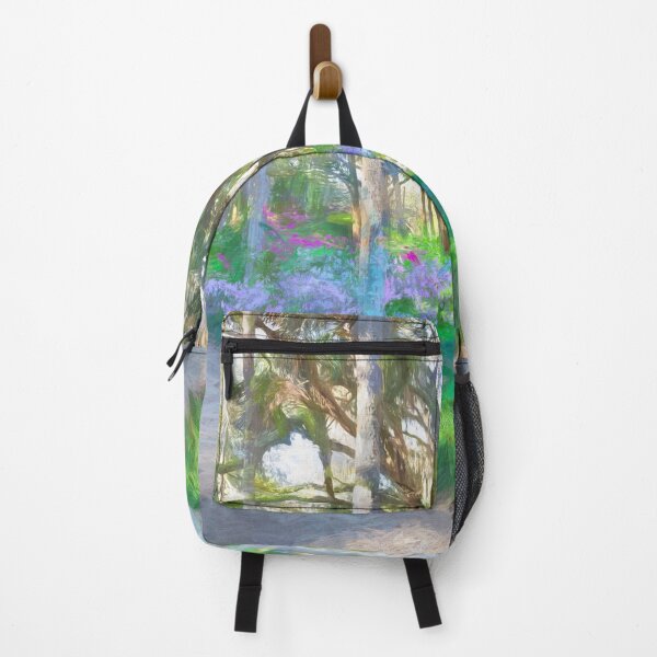 Item preview, Washington Oaks State Park X103   designed and sold by RichFrancoCars.