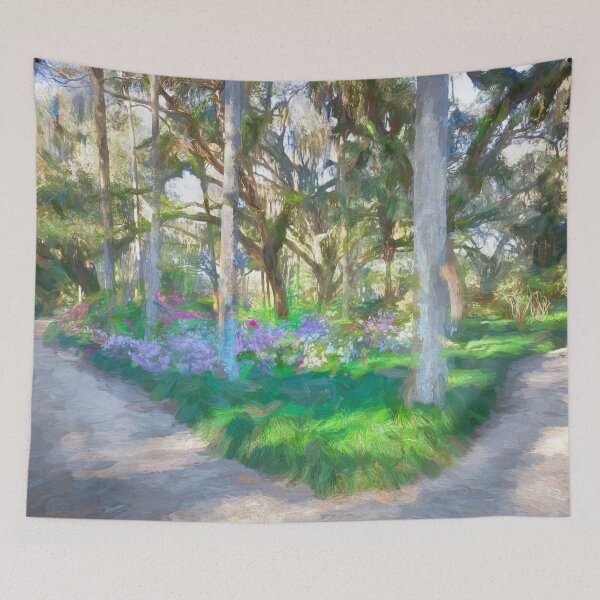 Item preview, Washington Oaks State Park X103   designed and sold by RichFrancoCars.