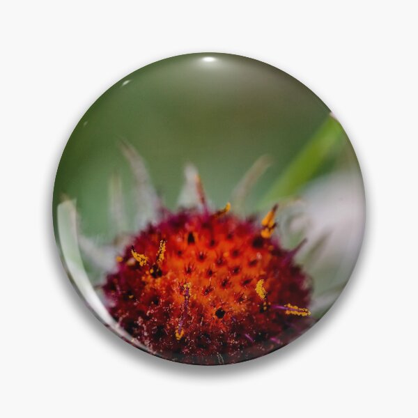 Item preview, Shoulda seen me last Week Glacier National Park 102 designed and sold by RichFrancoCars.