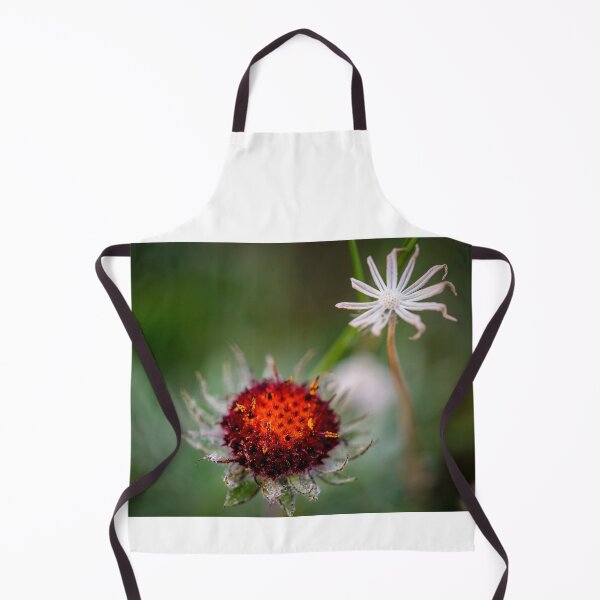 Item preview, Shoulda seen me last Week Glacier National Park 102 designed and sold by RichFrancoCars.
