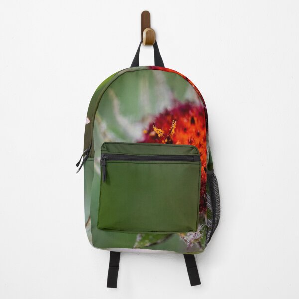 Item preview, Shoulda seen me last Week Glacier National Park 102 designed and sold by RichFrancoCars.