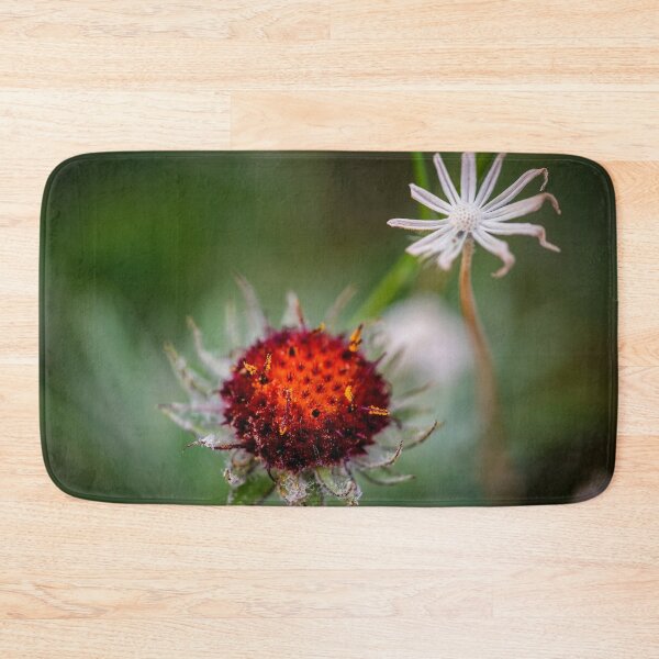 Item preview, Shoulda seen me last Week Glacier National Park 102 designed and sold by RichFrancoCars.