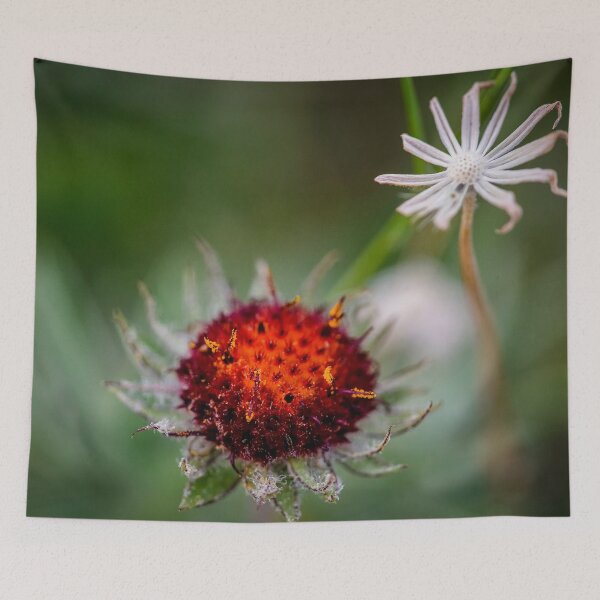 Item preview, Shoulda seen me last Week Glacier National Park 102 designed and sold by RichFrancoCars.