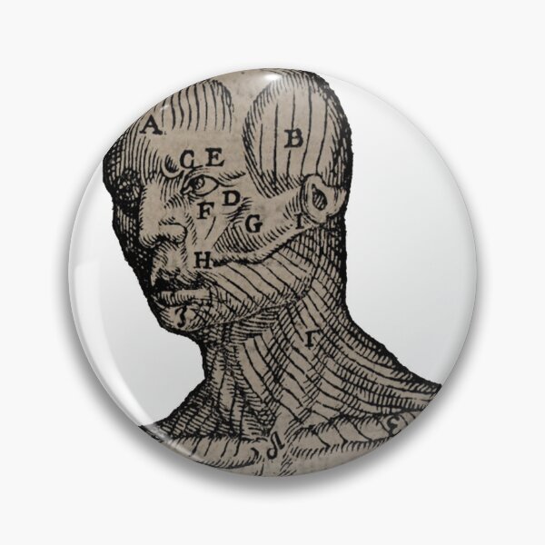 Item preview, Vintage Human Bust Anatomy Illustration  designed and sold by HawthorneFlame.