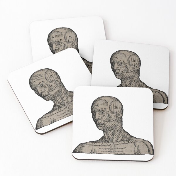 Item preview, Vintage Human Bust Anatomy Illustration  designed and sold by HawthorneFlame.