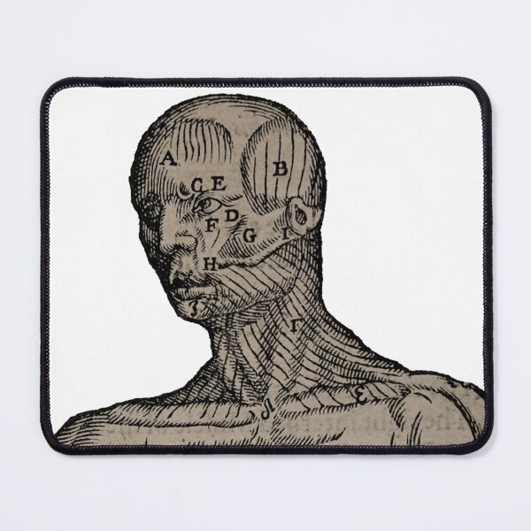 Item preview, Vintage Human Bust Anatomy Illustration designed and sold by HawthorneFlame.
