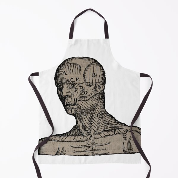 Item preview, Vintage Human Bust Anatomy Illustration designed and sold by HawthorneFlame.