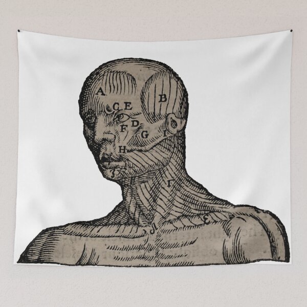 Item preview, Vintage Human Bust Anatomy Illustration  designed and sold by HawthorneFlame.