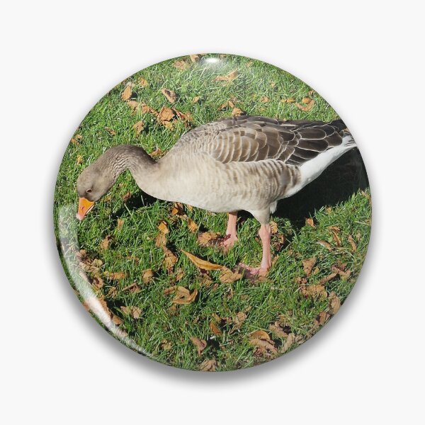 Item preview, Greylag Goose on Grass in the Fall designed and sold by Gaboro.