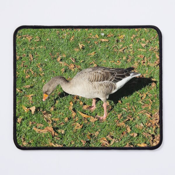 Item preview, Greylag Goose on Grass in the Fall designed and sold by Gaboro.