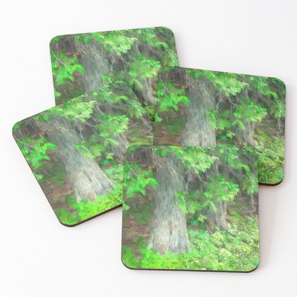 Item preview, Seeing Cedars Glacier National Park 101 designed and sold by RichFrancoCars.