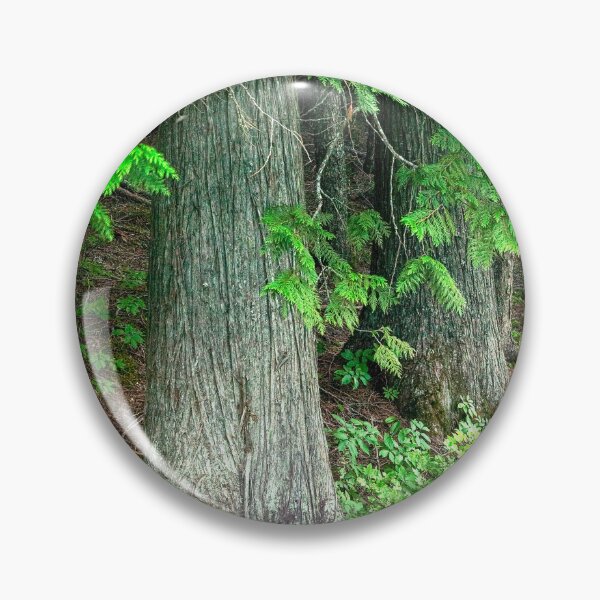 Item preview, Seeing Cedars Glacier National Park 102 designed and sold by RichFrancoCars.