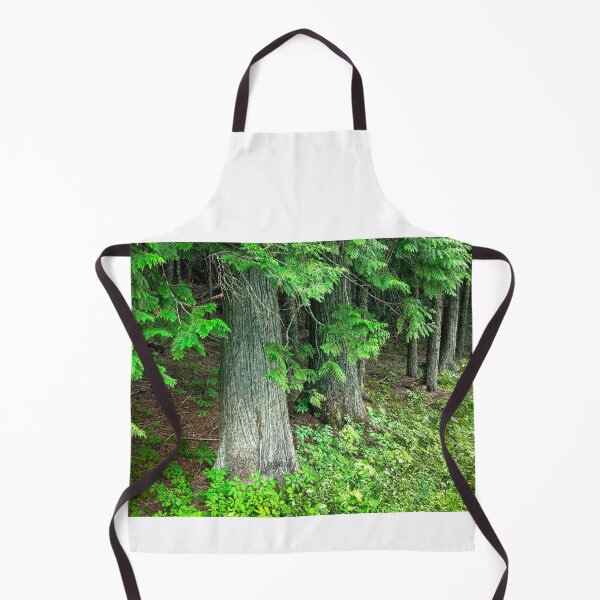 Item preview, Seeing Cedars Glacier National Park 102 designed and sold by RichFrancoCars.