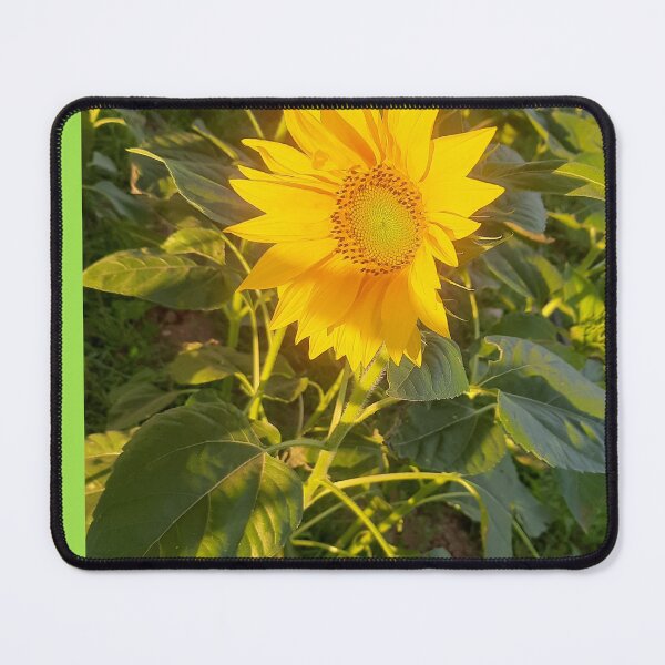Item preview, Fire dancer flower seeds on fire designed and sold by Saratahirb.