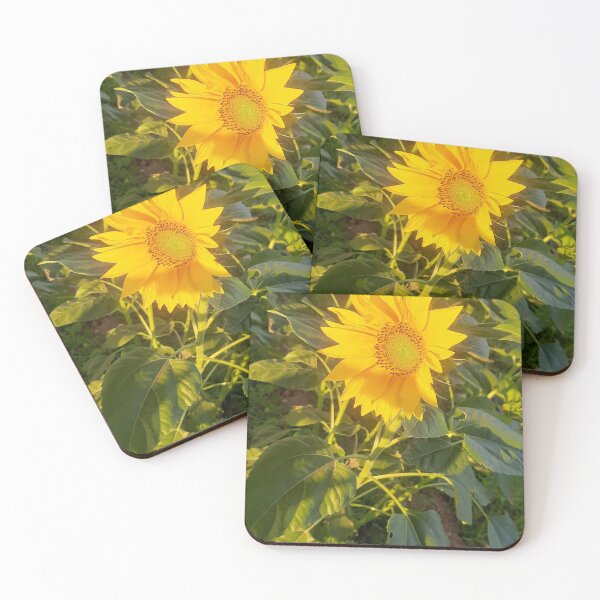 Item preview, Fire dancer flower seeds on fire designed and sold by Saratahirb.