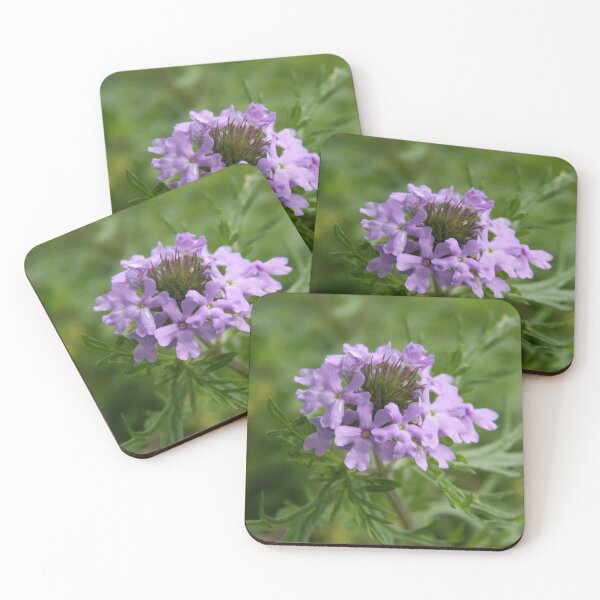 Item preview, Wild Verbena designed and sold by boldtvillemayor.