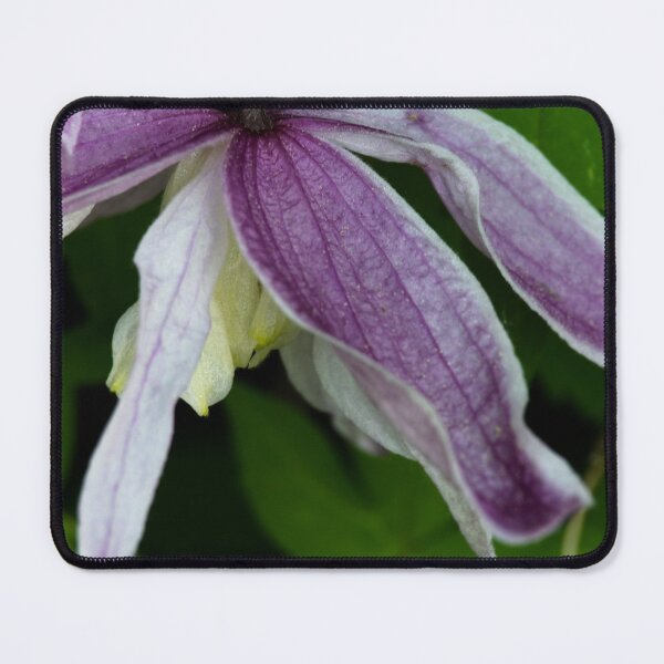 Item preview, Springtime blooms designed and sold by CanadianWild418.