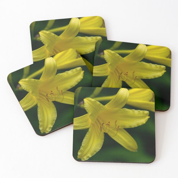 Item preview, Springtime flowers in bloom designed and sold by CanadianWild418.