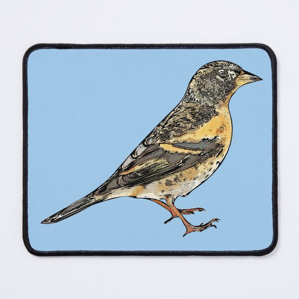 Item preview, Brambling Black Alternate Design designed and sold by designsasstultd.