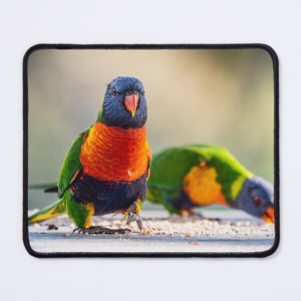 Item preview, Rainbow Lorikeets designed and sold by supersnapper.