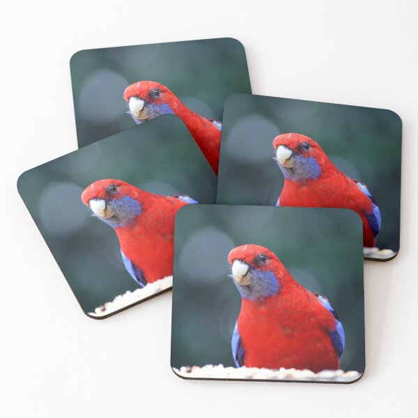 Item preview, © Crimson rosella designed and sold by GeoPipics.