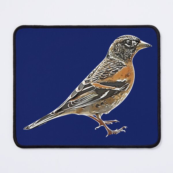 Item preview, Brambling White Alternate Design designed and sold by designsasstultd.