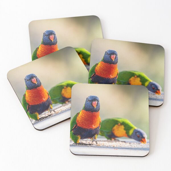 Item preview, Rainbow Lorikeets designed and sold by supersnapper.