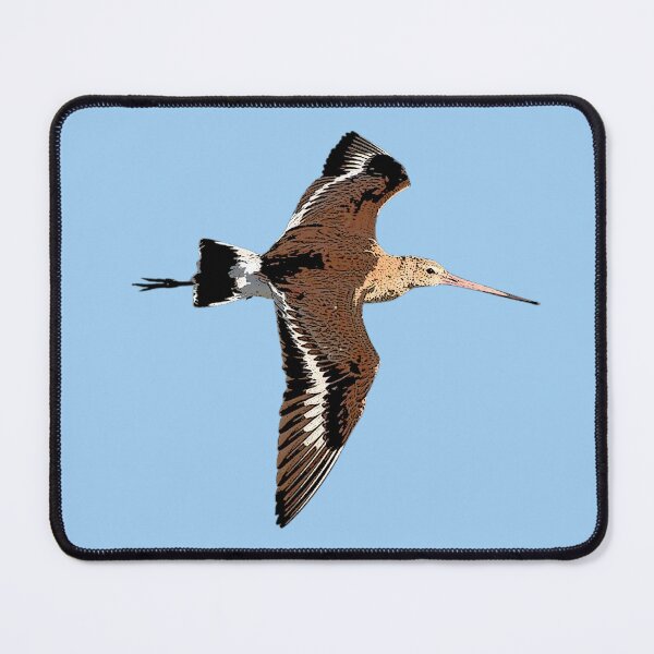 Item preview, Black-tailed Godwit Color Design  designed and sold by designsasstultd.