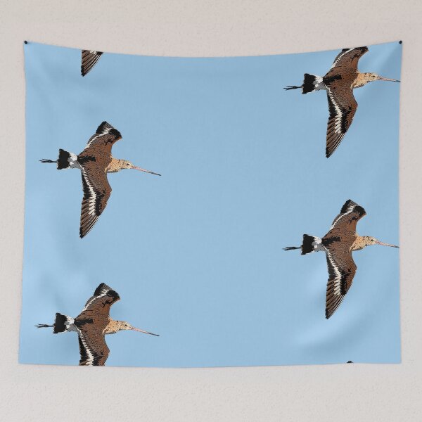 Item preview, Black-tailed Godwit Color Design  designed and sold by designsasstultd.