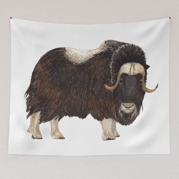 Item preview, MUSK OX-Ovibos moschatus designed and sold by BEATRIZ ABAITUA.
