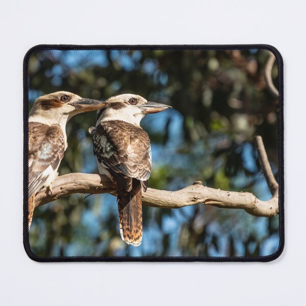 Item preview, Kookaburras designed and sold by supersnapper.