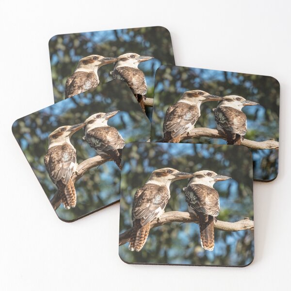 Item preview, Kookaburras designed and sold by supersnapper.