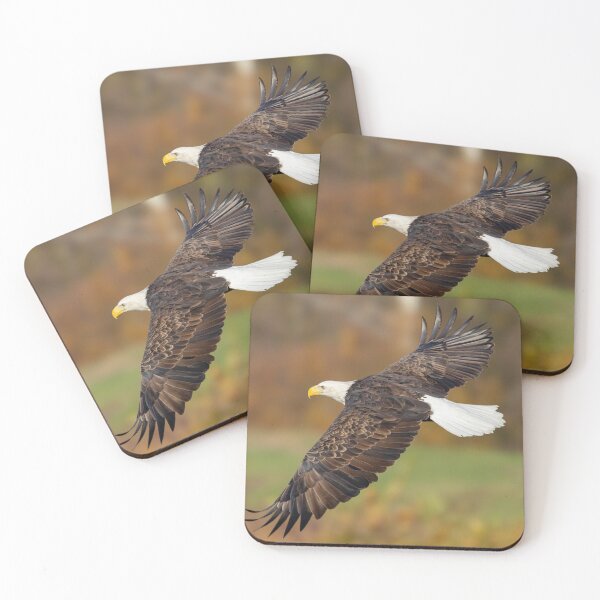 Item preview, Bird of Prey designed and sold by FlyingLilly.