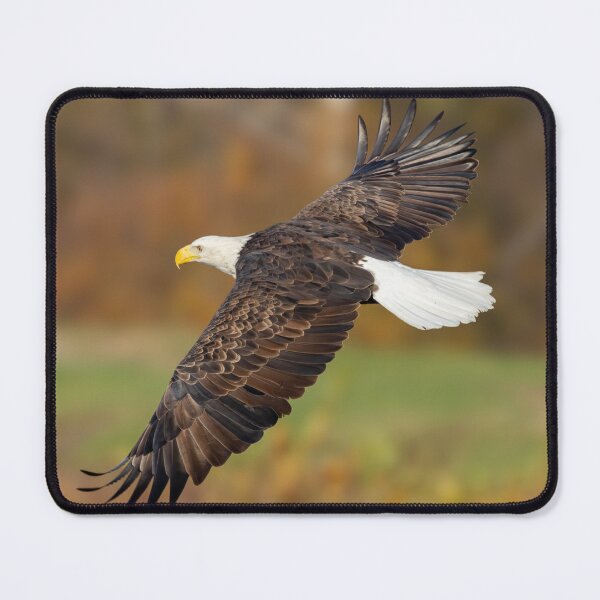 Item preview, Bird of Prey designed and sold by FlyingLilly.