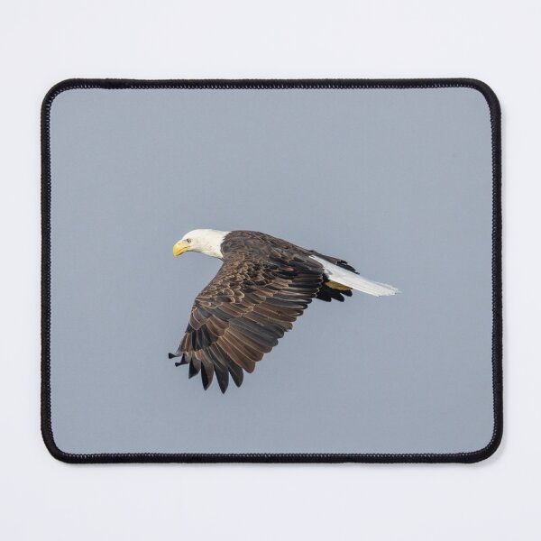 Item preview, Soaring bald Eagle designed and sold by FlyingLilly.