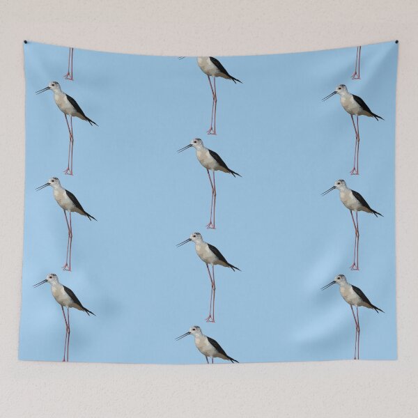 Item preview, Black-winged Stilt Color Design  designed and sold by designsasstultd.