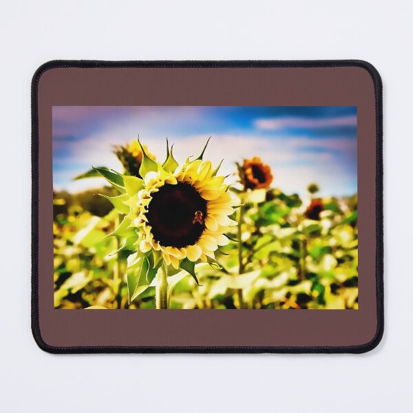 Item preview, sunflower field designed and sold by Nicholes  Dream Visions.