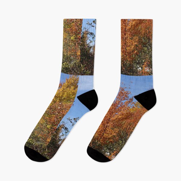 Item preview, Autumn colorful trees against blue sky. designed and sold by naturematters.