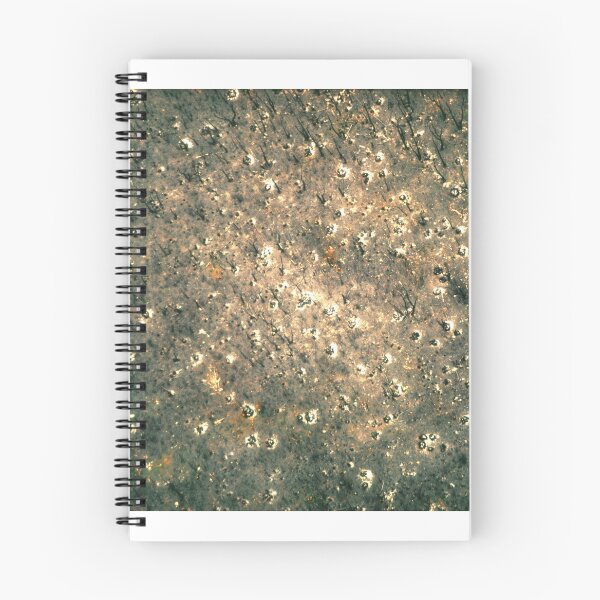 Item preview, Razed forest designed and sold by victor.