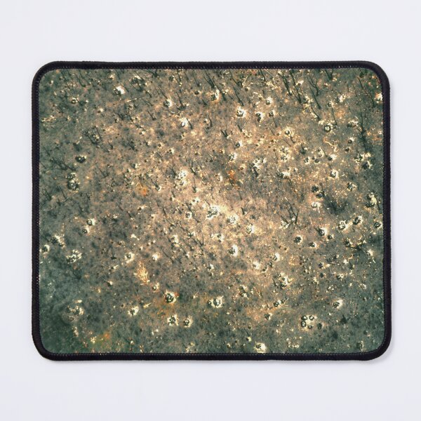 Item preview, Razed forest designed and sold by victor.