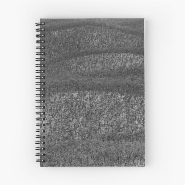 Item preview, Burnt Forest designed and sold by victor.