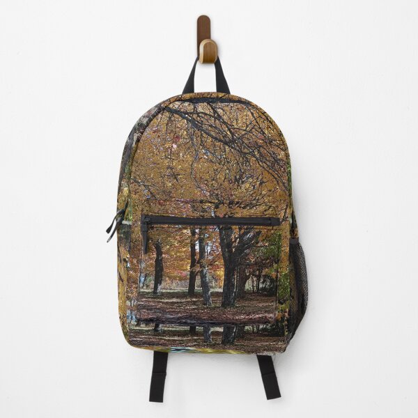 Item preview, Fall maple trees  landscape photography  designed and sold by naturematters.