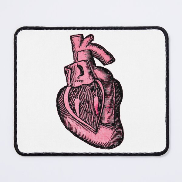 Item preview, Anatomical heart Anatomy Illustration designed and sold by HawthorneFlame.