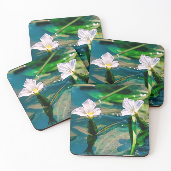 Item preview, two white flowers on the clear water's surface. designed and sold by MiMee4451.